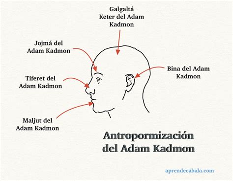 Adam Kadmon – Aprende Cábala.